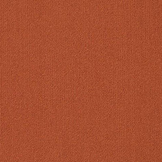 Picture of Philadelphia Commercial by Shaw - Color Accents 18 x 36 Paprika