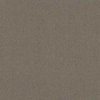 Picture of Philadelphia Commercial by Shaw - Color Accents 18 x 36 Portabella