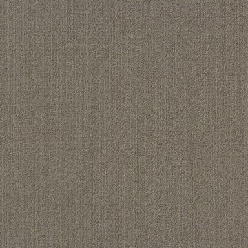 Picture of Philadelphia Commercial by Shaw - Color Accents 18 x 36 Portabella