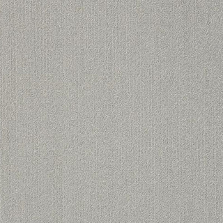 Picture of Philadelphia Commercial by Shaw - Color Accents 18 x 36 Silver