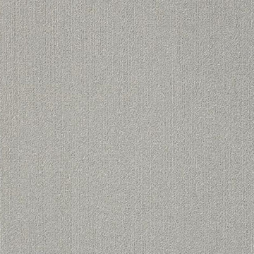 Picture of Philadelphia Commercial by Shaw - Color Accents 18 x 36 Silver