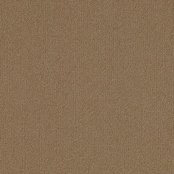 Picture of Philadelphia Commercial by Shaw - Color Accents 18 x 36 Tobacco