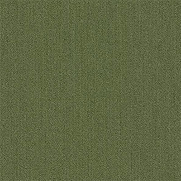 Picture of Philadelphia Commercial by Shaw - Color Accents 24 x 24 Cactus