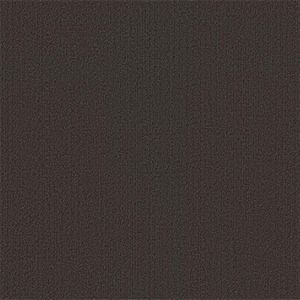 Picture of Philadelphia Commercial by Shaw - Color Accents 24 x 24 Ebony