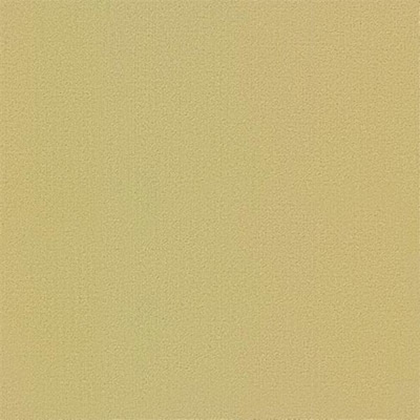 Picture of Philadelphia Commercial by Shaw - Color Accents 24 x 24 Glaze