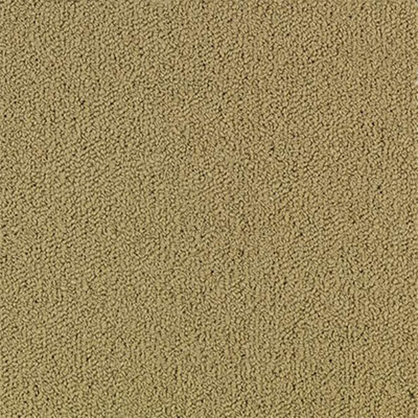 Picture of Philadelphia Commercial by Shaw - Color Accents 24 x 24 Pecan