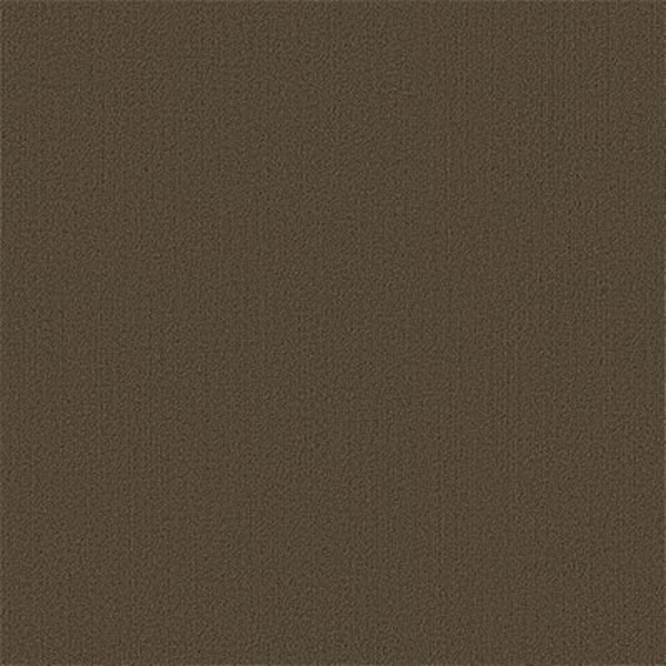Picture of Philadelphia Commercial by Shaw - Color Accents 24 x 24 Timber