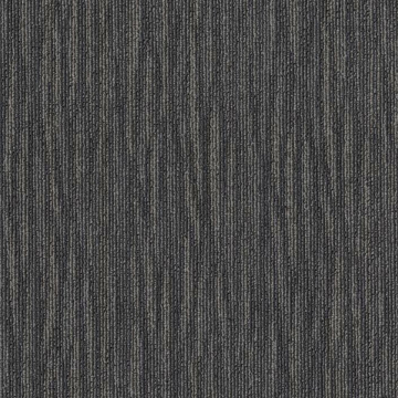 Picture of Philadelphia Commercial by Shaw - Mend Woven