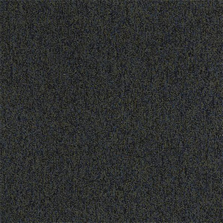 Picture of Philadelphia Commercial by Shaw - Multiplicity 24 x 24 Plentiful