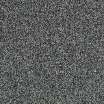 Picture of Philadelphia Commercial by Shaw - Multiplicity 18 x 36 Surplus