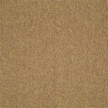 Picture of Philadelphia Commercial by Shaw - Multiplicity 18 x 36 Expansive