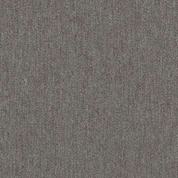Picture of Philadelphia Commercial by Shaw - Profusion Plenitude