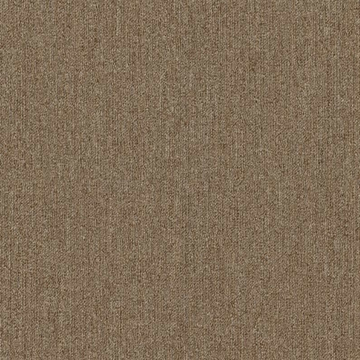 Picture of Philadelphia Commercial by Shaw - Profusion Ample