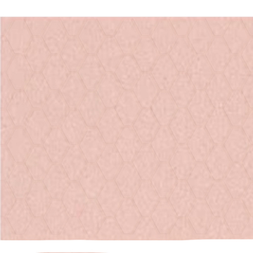 Picture of Shaw Floors - Geoscapes Diamond First Lady Pink