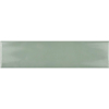 Picture of Roca - CC Cosmos Sage Green