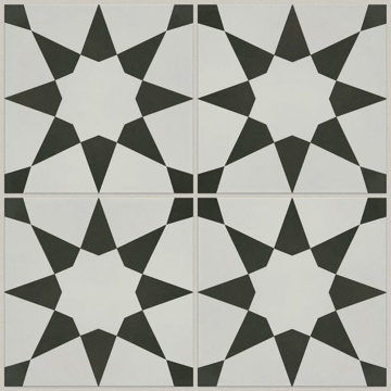 Picture of Shaw Floors - Renee Josefina Onyx
