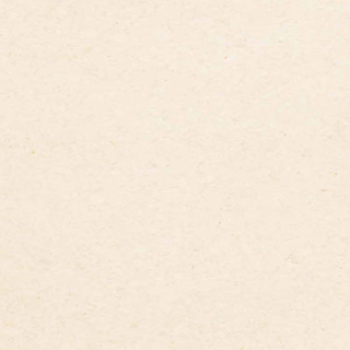 Picture of Globus Cork - Traditional Texture 12 x 12 Snow
