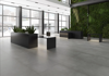 Picture of Roca - Liverpool 12 x 24 Polished Grafito