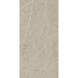 Picture of Roca - Piasentina 12 x 24 Matte Silver