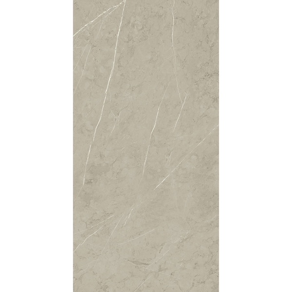 Picture of Roca - Piasentina 12 x 24 Matte Silver