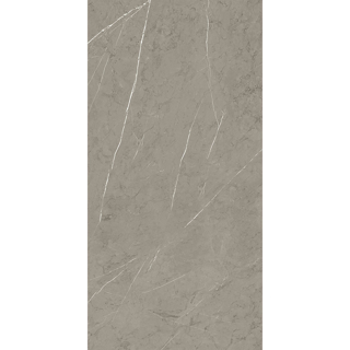 Picture of Roca - Piasentina 24 x 48 Polished Smoke