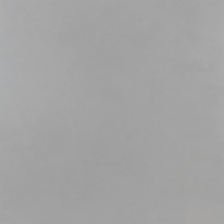 Picture of Roca - Pro 24 x 24 Matte Concrete