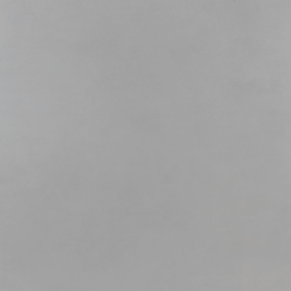 Picture of Roca - Pro 24 x 24 Matte Concrete
