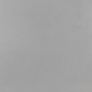 Picture of Roca - Pro 24 x 24 Polished Cement