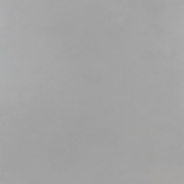 Picture of Roca - Pro 24 x 24 Polished Cement