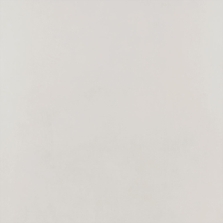 Picture of Roca - Pro 24 x 24 Polished Ivory
