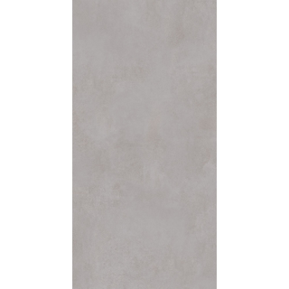Picture of Roca - Pro 24 x 48 Matte Concrete