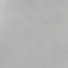 Picture of Roca - Pro Max 24 x 24 Matte Cement