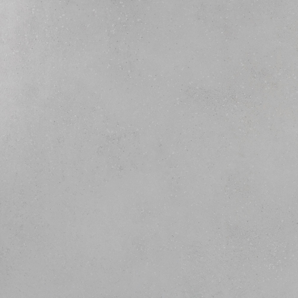 Picture of Roca - Pro Max 24 x 24 Matte Cement