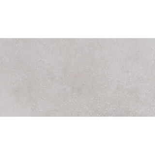 Picture of Roca - Pro Max 12 x 24 Matte ABS Cement