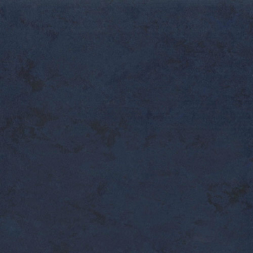 Picture of Toli International - Fasolplus Blueberry
