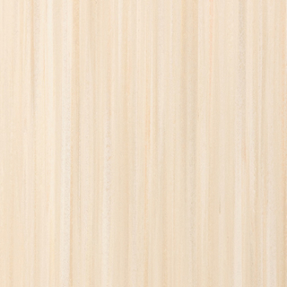 Picture of Toli International - Terraline Sandstone