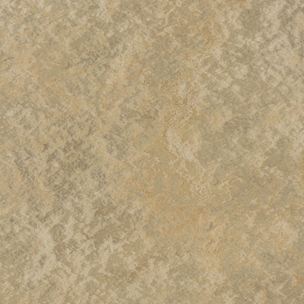 Picture of Toli International - Viale Khaki