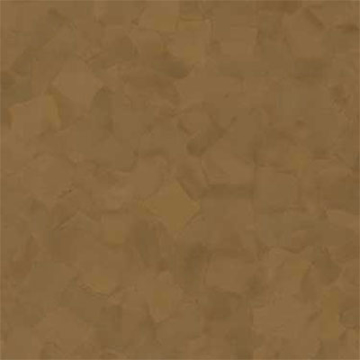 Picture of VPI Corp. - PRT Earthtones Accent Colors 12 x 12 Salvador Brownstone