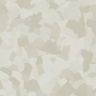 Picture of VPI Corp. - PRT Earthtones Feature Strip 2 x 24 Alaskan Diamond