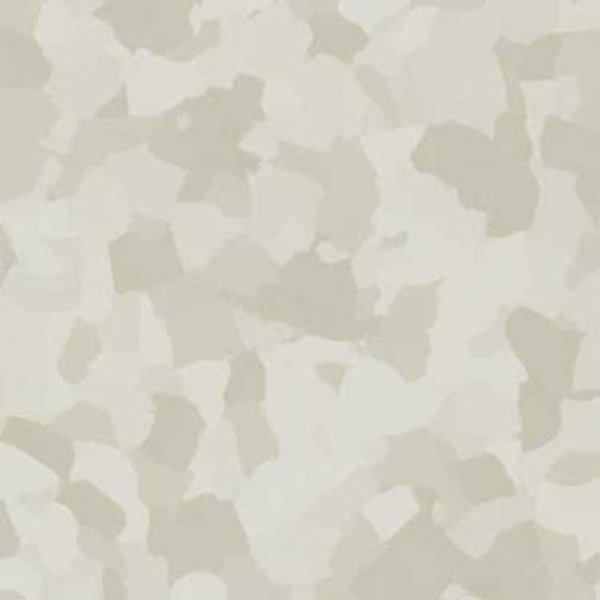 Picture of VPI Corp. - PRT Earthtones Feature Strip 2 x 24 Alaskan Diamond