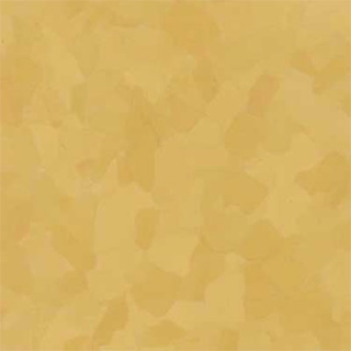Picture of VPI Corp. - PRT Earthtones Feature Strip 2 x 24 Grand Canyon Yellow