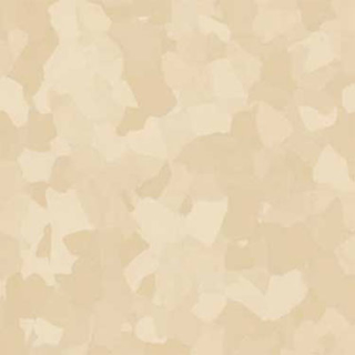 Picture of VPI Corp. - PRT Earthtones Feature Strip 2 x 24 Inca Stone