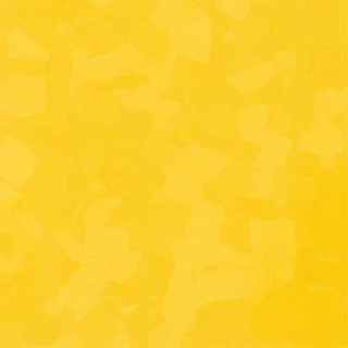 Picture of VPI Corp. - PRT Earthtones Feature Strip 2 x 24 Lemon Rock