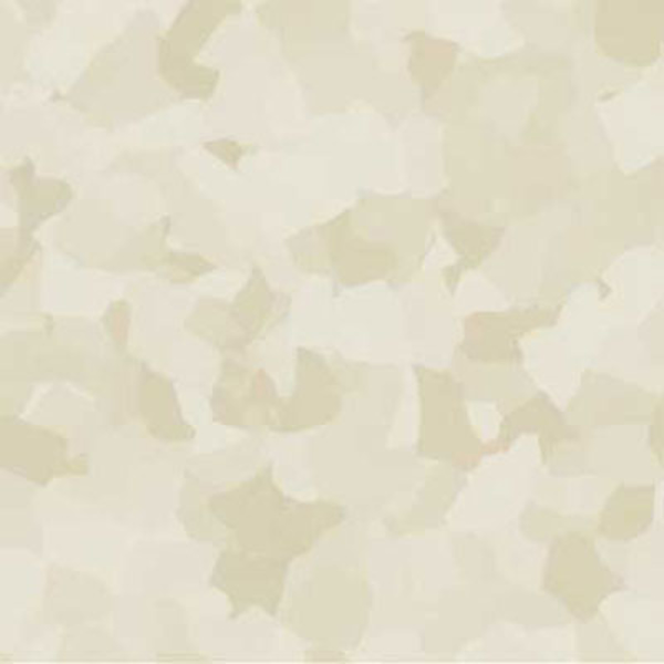 Picture of VPI Corp. - PRT Earthtones Feature Strip 2 x 24 Peruvian Pearl