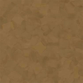 Picture of VPI Corp. - PRT Earthtones Feature Strip 2 x 24 Salvador Brownstone
