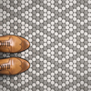 Picture of Roca - CC Mosaics Gray White Matte Pennyround