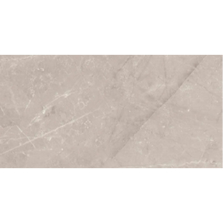 Picture of Roca - Jewels 12 x 24 Etienne Gray Matte
