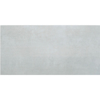 Picture of Roca - Liverpool 24 x 48 Polished Cinza