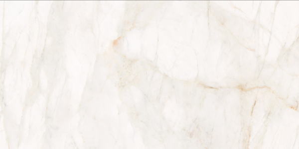 Picture of Roca - Marble Dolomita 24 x 48 Dolomita