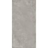 Picture of Roca - Seattle 12 x 24 Polished Cinza